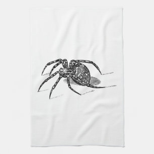 Vintage 1800s Spider Illustration Spiders Template Tea Towel