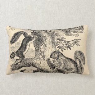 Vintage 1800s Squirrels Illustration - Squirrel Lumbar Cushion