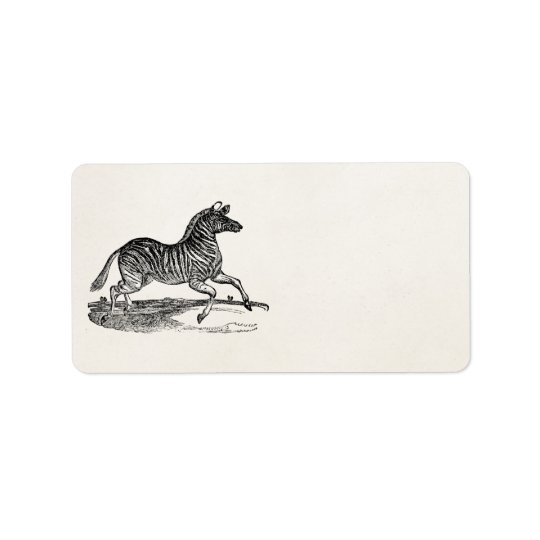 Vintage 1800s Striped Zebra Illustration Zebras Address Label