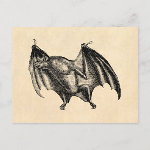 Vintage 1800s Vampire Bat Illustration - Halloween Postcard