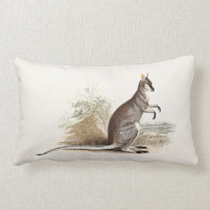 Vintage 1800s Wallaby Kangaroo Antique Wallabies Lumbar Cushion