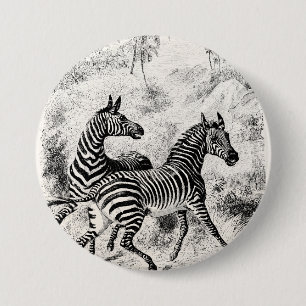 Vintage 1800s Zebras Retro Old Zebras Illustration 7.5 Cm Round Badge