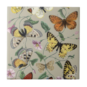Vintage 1842 Butterfly Moth Botanical Floral Art Ceramic Tile