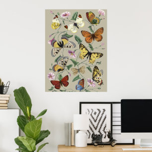 Vintage 1842 Butterfly Moth Botanical Floral Art Poster