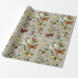 Vintage 1842 Butterfly Moth Botanical Floral Art Wrapping Paper