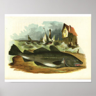 Vintage 1859 Codfish Fish Print FolkArt