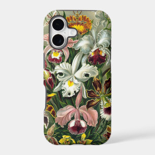 Vintage 1865 Botanical Orchids Illustration
