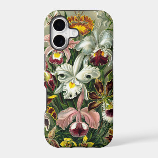 Vintage 1865 Botanical Orchids Illustration