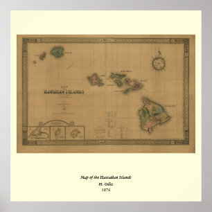 Vintage 1876 Hawaii Map -  Hawaiian Islands Poster