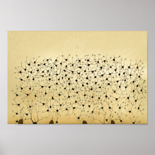 Vintage 1886 Central Nervous System Nerves Poster