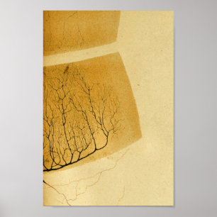 Vintage 1886 Central Nervous System Nerves Poster