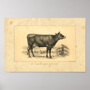 Vintage 1888 Jersey Cow Print