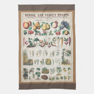 Vintage 1890 School Botanical Education Chart Tea Towel