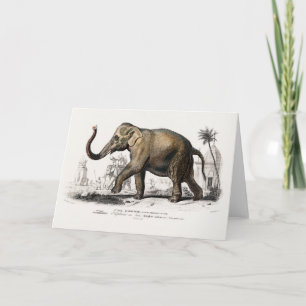 Vintage 1892 Asiatic Elephant Illustration Card