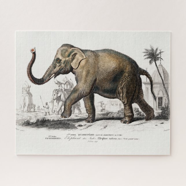Vintage 1892 Asiatic Elephant Illustration Jigsaw Puzzle (Horizontal)