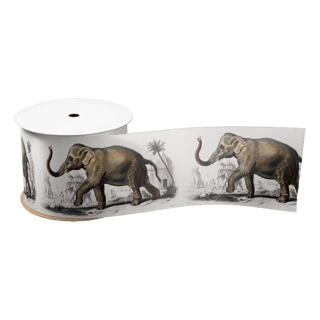 Vintage 1892 Asiatic Elephant Illustration Satin Ribbon (Spool)