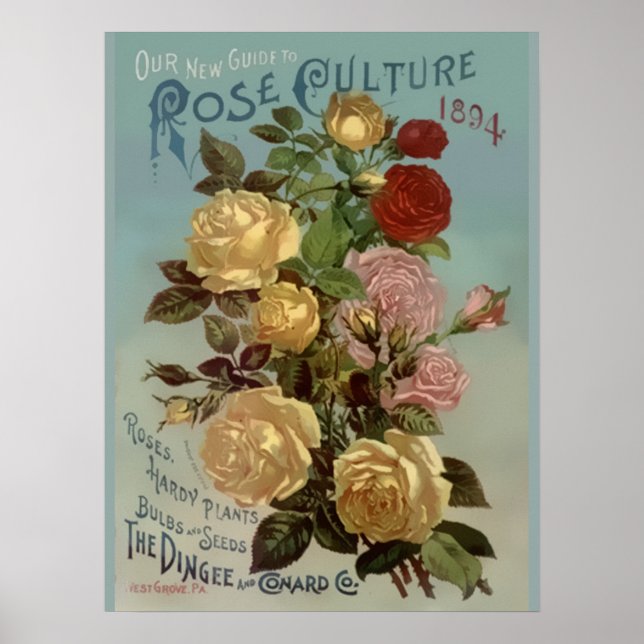 Vintage 1894 Guide to Rose Culture Poster (Front)