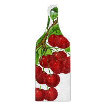 Vintage 1899 illustration: ripe red cherries