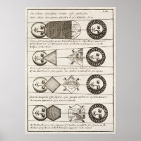 Vintage 18th Century Diagrams of Solar Eclipses