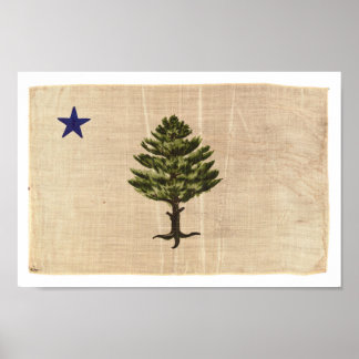 Vintage 1901 Maine Flag Print (Small)