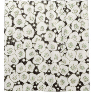 Vintage 1902 Japanese Floral: Black White Blossom  Shower Curtain