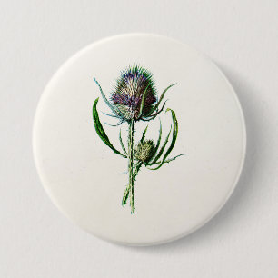 Vintage 1902 Old Scottish Thistle Wild Flower 7.5 Cm Round Badge