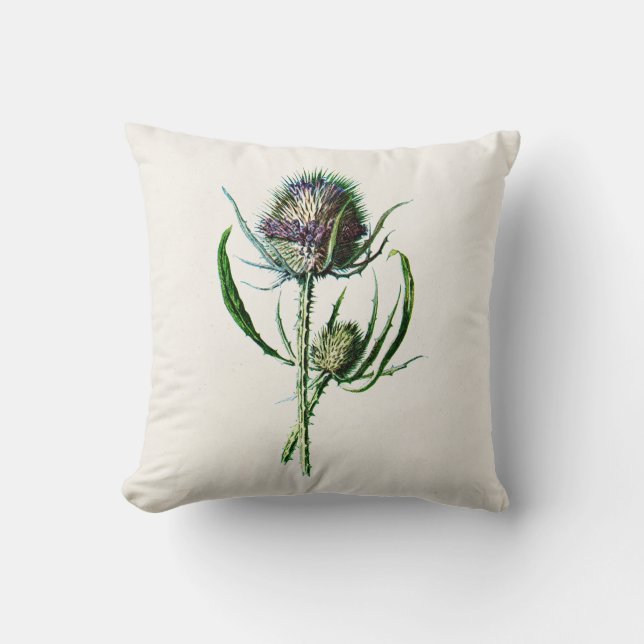 Vintage 1902 Old Scottish Thistle Wild Flower Cushion (Front)