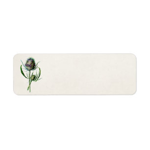 Vintage 1902 Old Scottish Thistle Wild Flower Return Address Label
