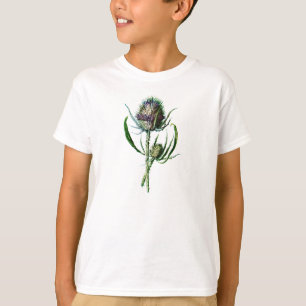 Vintage 1902 Scottish Thistle Antique Wild Flower T-Shirt