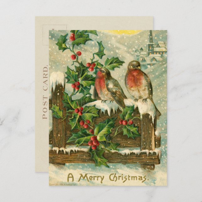 Vintage 1906 Birds in Snow Christmas Holiday Postcard (Front/Back)