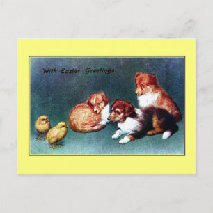 Vintage 1906 Easter Greetings colli puppies Holiday Postcard