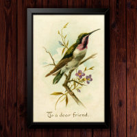 Vintage 1908 Mexican Star Hummingbird Friendship 