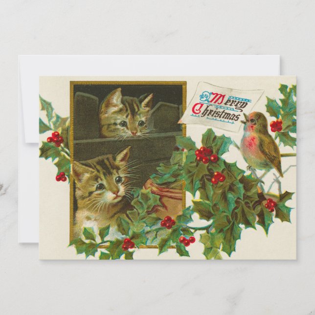 Vintage 1911 Cats with Bird Merry Christmas Card (Front)