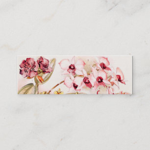 Vintage 1911 Orchid Pink Flower Old Illustration Mini Business Card