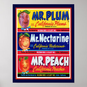 Vintage 1950's California Fruit Poster