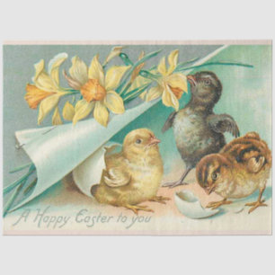 Vintage 3 Chickens Easter Holiday Tissue Paper