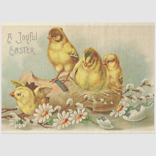 Vintage 4 Chickens Easter Holiday Tissue Paper (Front)