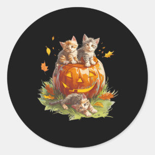 Vintage 90s Cat Pumpkin Halloween For Men Women Bo Classic Round Sticker