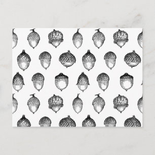 Vintage Acorn Art Classic Retro CUSTOM BG COLOR Postcard