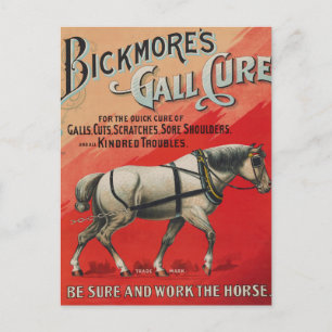 Vintage Ad For Bickmore's Gall Cure For Horses. Postcard