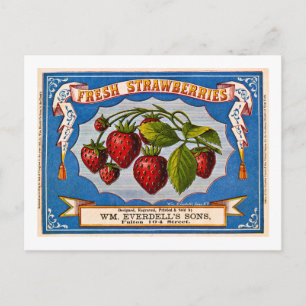 Vintage Ad for Fresh Strawberries circa 1868 Postcard