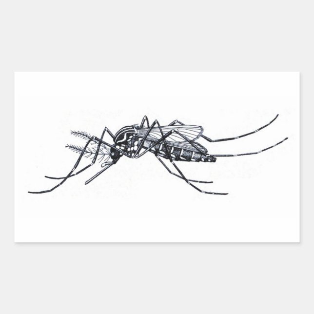 Vintage Aedes aegypti illustration Rectangular Sticker (Front)