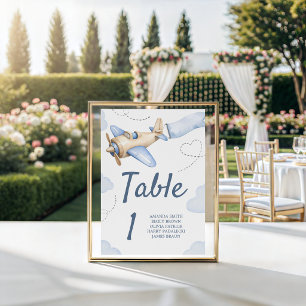 Vintage Aeroplane Shower Table Numbers Sign