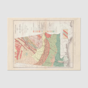 Vintage Agricultural Map of Alabama (1882) Tissue Paper
