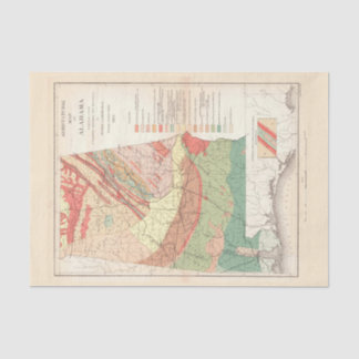 Vintage Agricultural Map of Alabama (1882) Tissue Paper