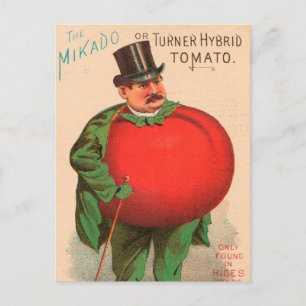 Vintage : agriculture advertising - postcard