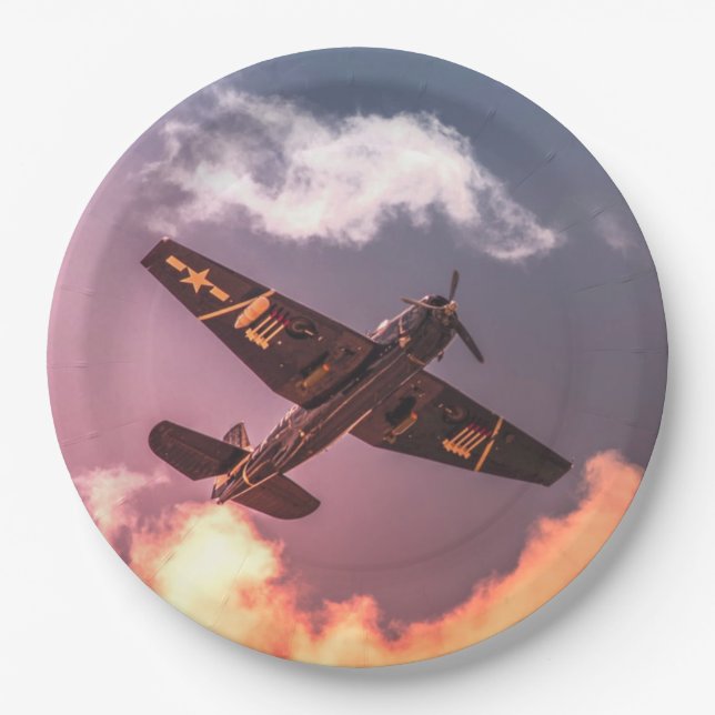 Vintage Airplane Beautiful Sky Paper Plate (Front)