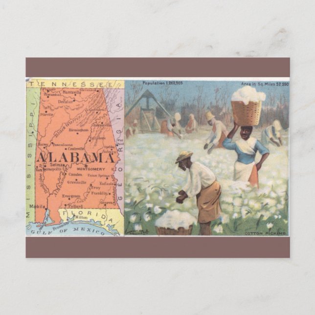 Vintage Alabama Cotton Picking Postcard (Front)