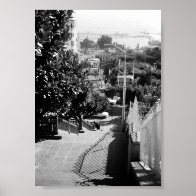 Vintage Algeria Algiers district overview Poster (Front)