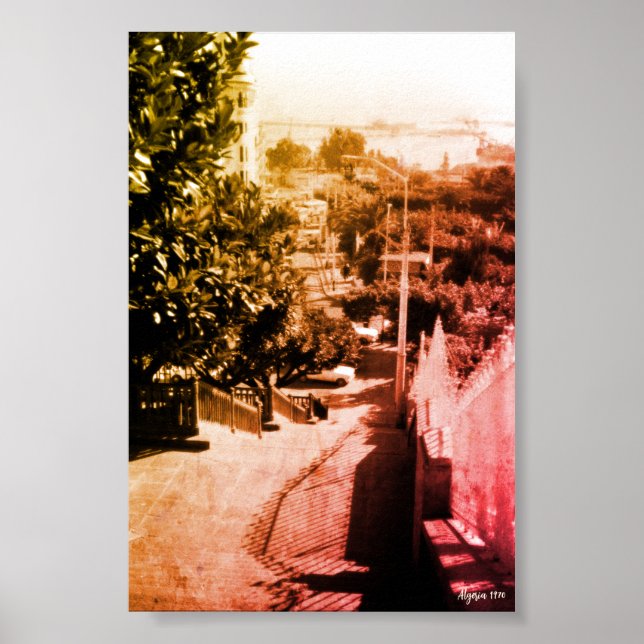 Vintage Algeria Algiers district overview Poster (Front)
